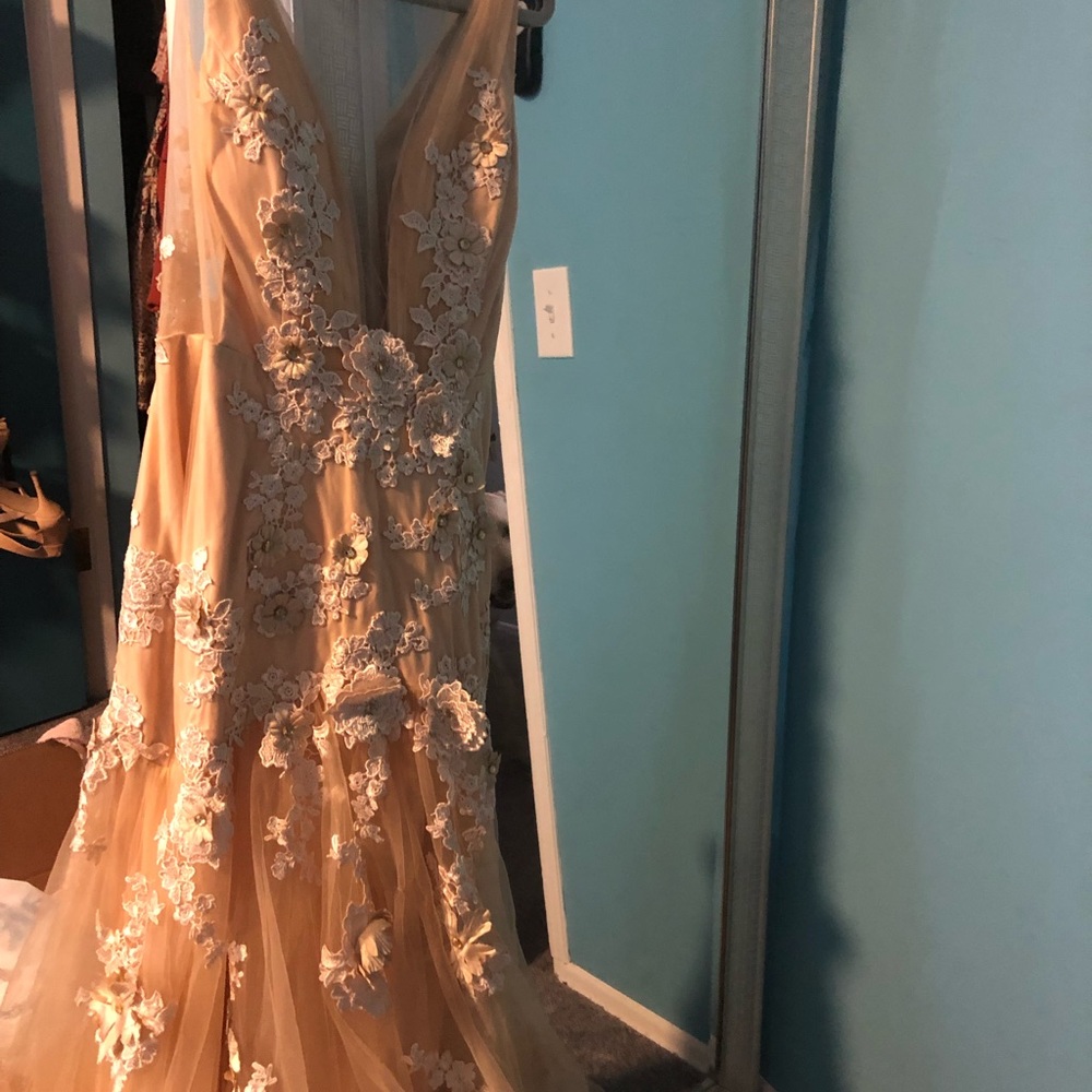Beautiful champagne colored wedding dress